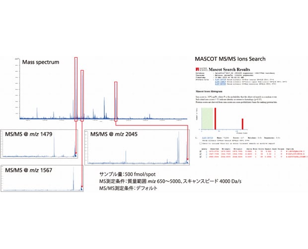 “Minimum” sample volume