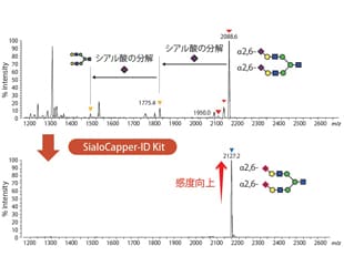 シアリル糖鎖の感度向上