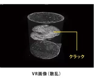 VR画像（散乱）