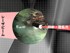 直径5μmの粒子から生じる光強度分布パターン