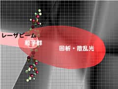 粒子群から生じる光強度分布パターン