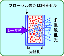 通常の方法で高濃度サンプルを測定した場合