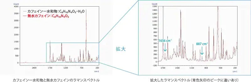 結晶多形