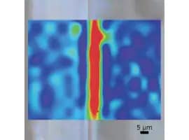 ラマンエリアマッピングの結果 酸化チタン（ルチル型）のケミカルイメージ