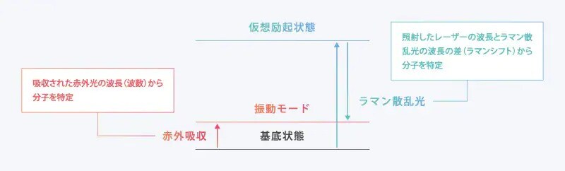 赤外分光法とラマン分光法の違い