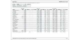 Duplicate Report