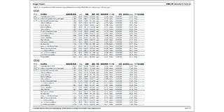 CCV Report