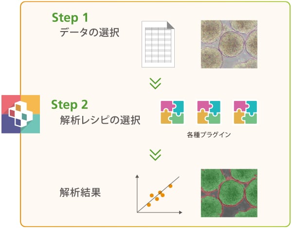 STEP1、2からの解析結果