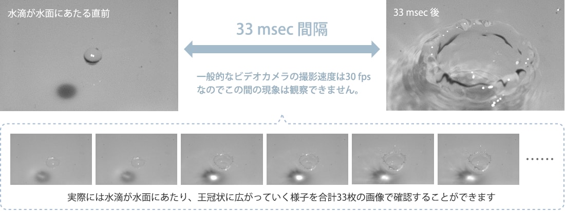 水面に1滴の水を落としたときの様子