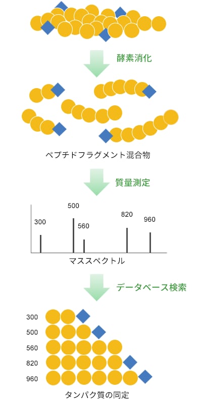 PMF法