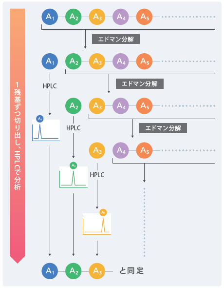 PPSQとは?