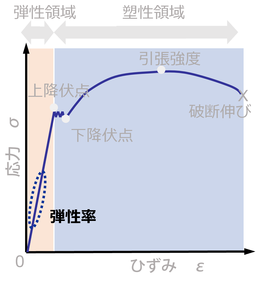 弾性率