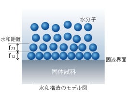 水和・溶媒和構造