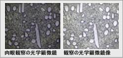 高感度CCDカメラで暗いサンプルも観察