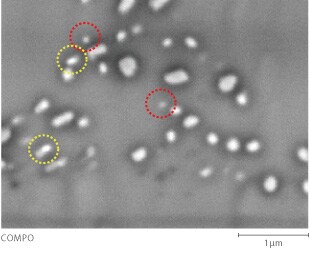 鉛フリーはんだ中のAgとCuの分布