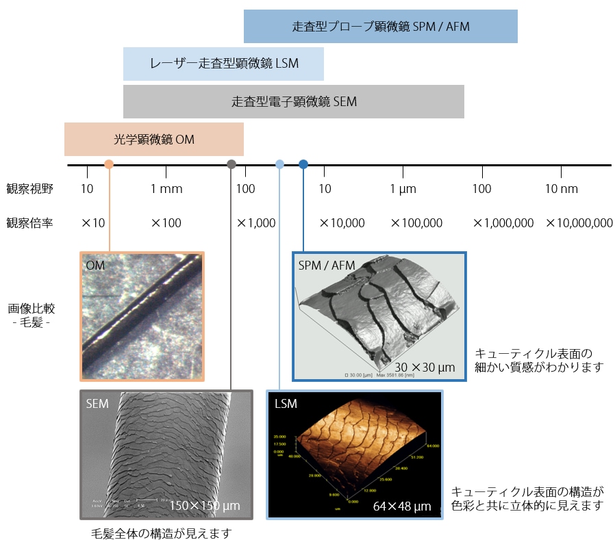 図1-2 各顕微鏡の観察視野と倍率