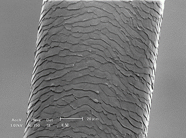 3D形状が測定できない…