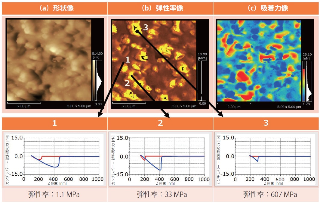図2-6 液状硬化型ゴムの弾性率・吸着力マッピング