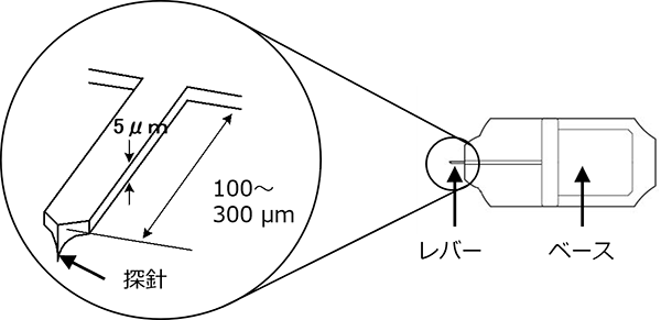図3-1 カンチレバーの構造