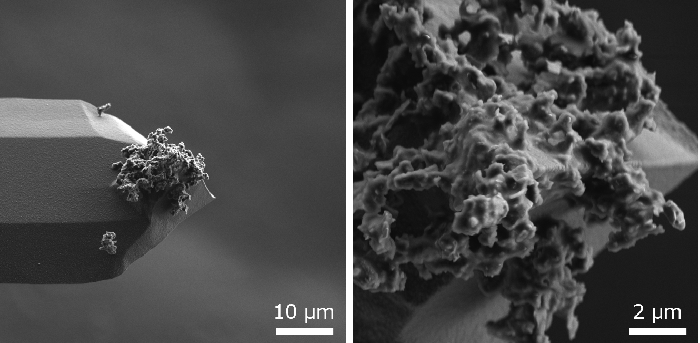 図3-3 劣化したカンチレバーのSEM像