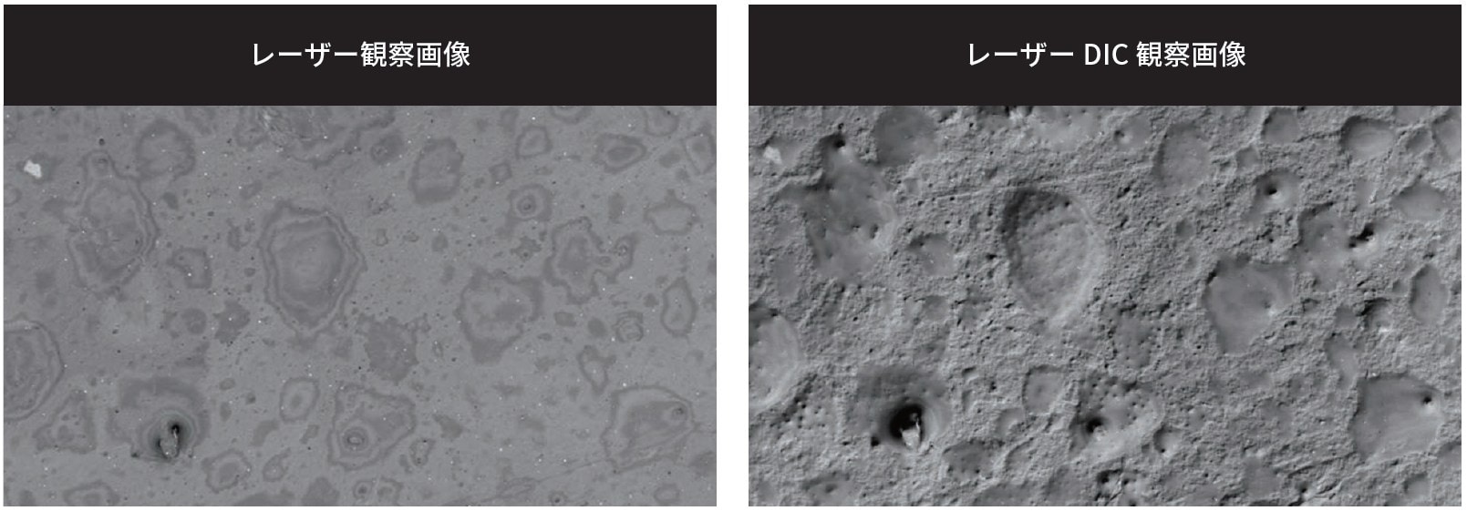 ポリマーフィルムの比較画像