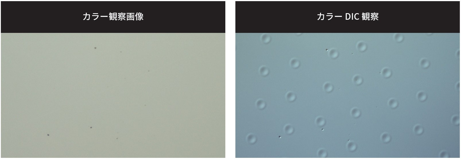 ハードディスクのランディングゾーンの比較画像