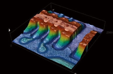 フォーカスバリエーション