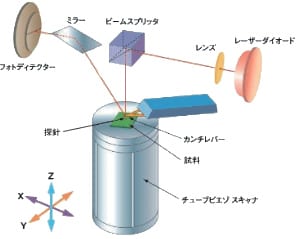 走査型プローブ顕微鏡（SPM）の基本構成