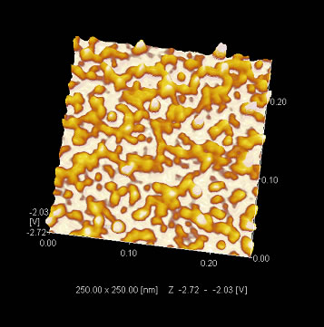 フィブリノゲンのSPM（走査プローブ顕微鏡）による観察例