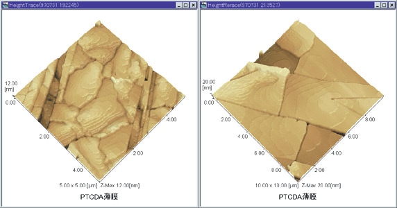 PTCDA薄膜観察例