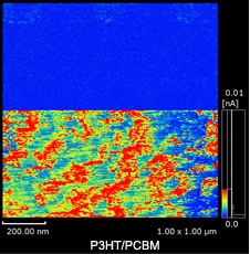 P3HT/PCBMブレンド薄膜の表面形状と電流像の観察例