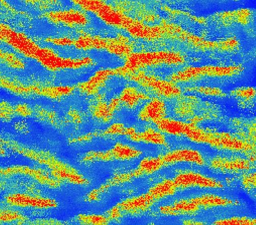 リサイクルプラスチック中の中間層と結晶分布評価