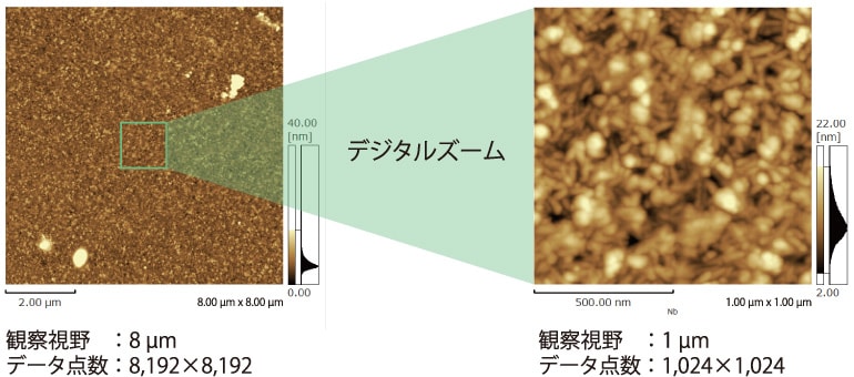 8K画像で高解像度広域観察