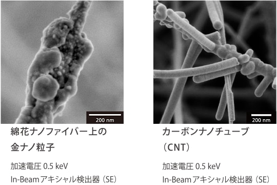 綿花ナノファイバー上の金ナノ粒子／カーボンナノチューブ