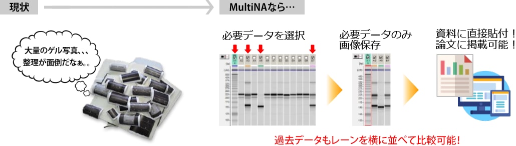 MultiNAなら過去データもレーンを横に並べて比較可能！