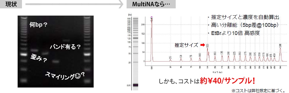 MultiNAなら推定サイズと濃度を自動算出、高い分離能（5bp差@100bp）、EtBrより10倍高感度
