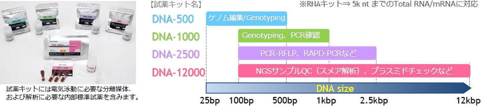 試薬キットには電気泳動に必要な分離媒体、および解析に必要な内部標準試薬 を含みます 。