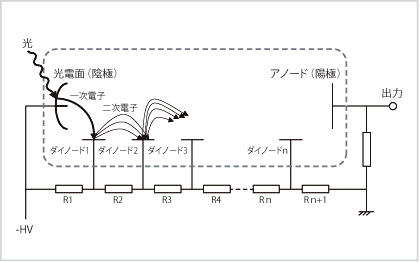 図3 光電子増倍管の動作原理