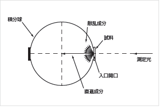 図4 透過測定概要図