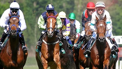 島津の分析技術が競走馬のドーピングコントロールに貢献