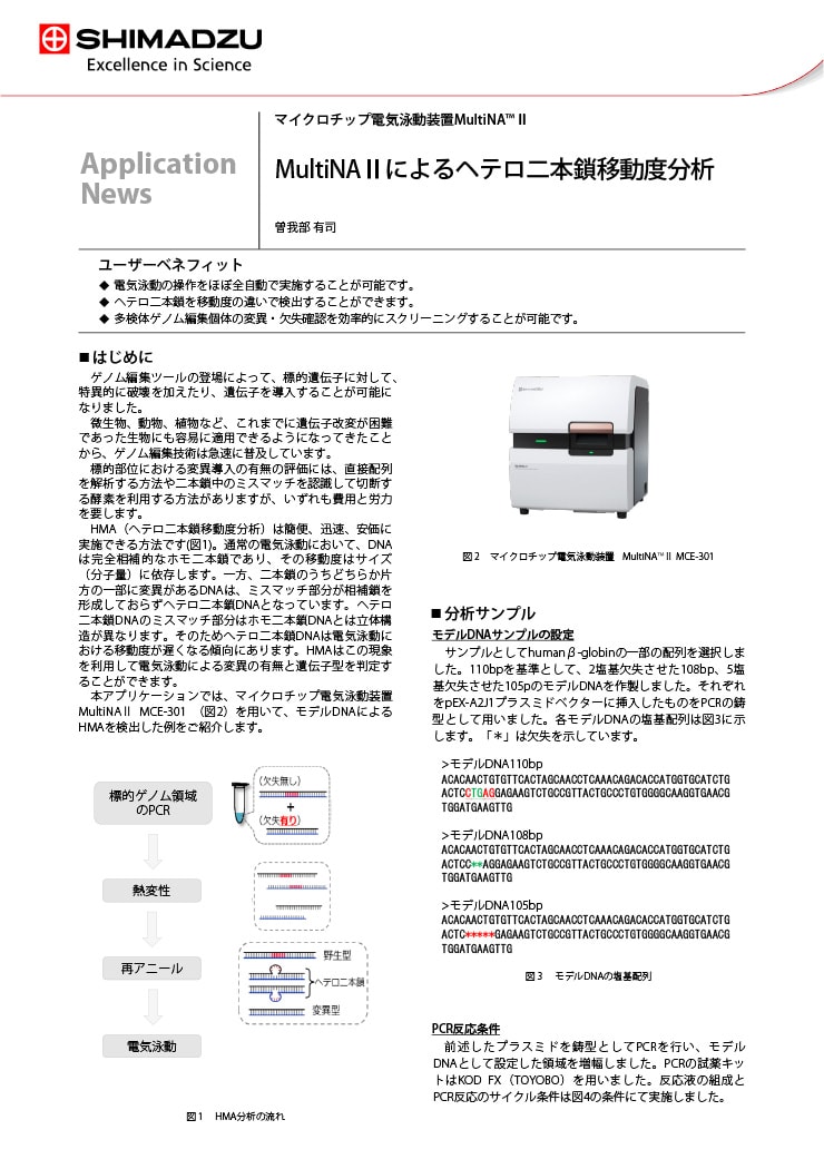 MultiNAⅡによるヘテロ二本鎖移動度分析
