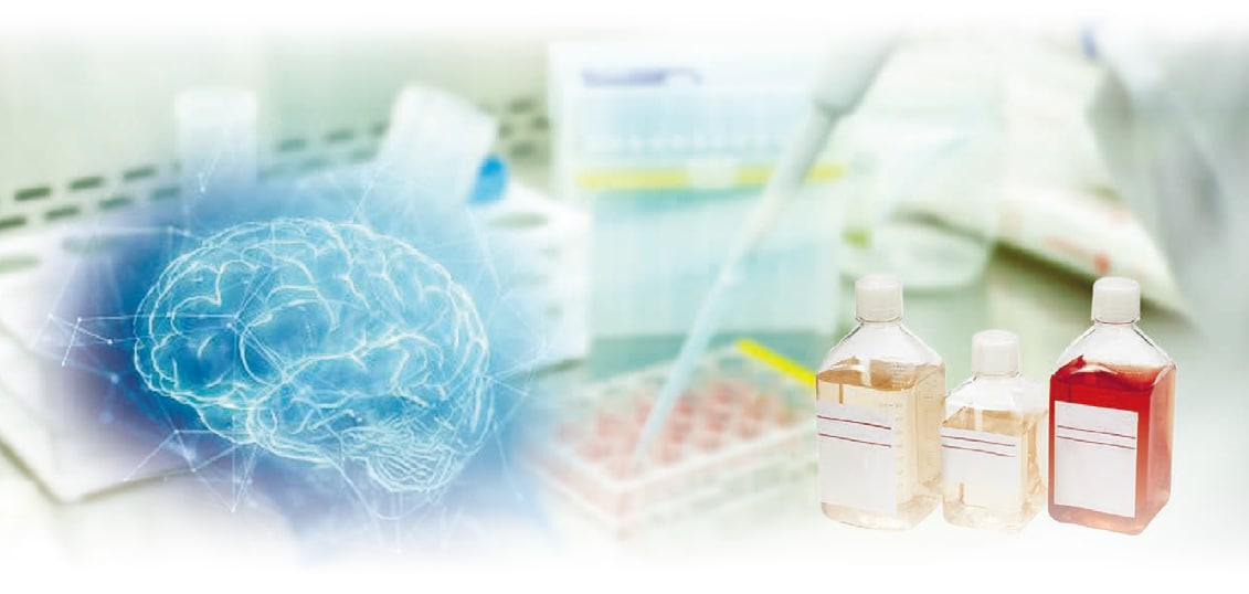 AIカスタム培地開発サービス