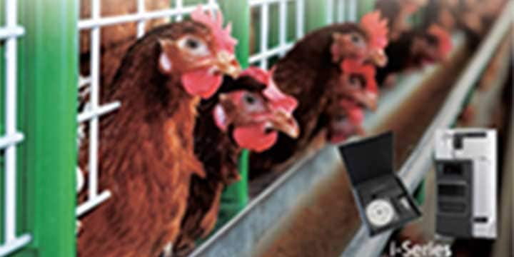 合成抗菌剤スクリーニングシステム