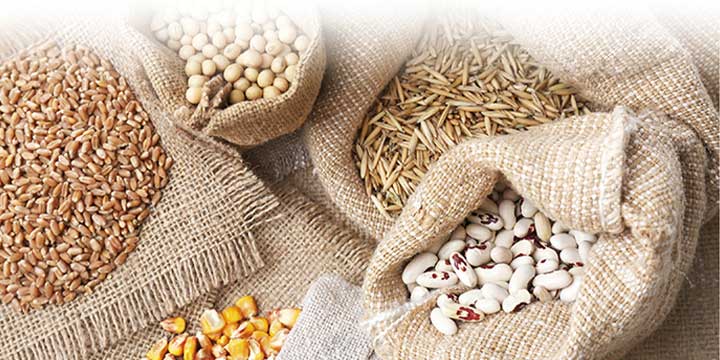 LC/MS/MS Method Package for Mycotoxins