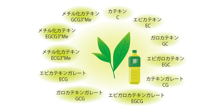 Catechin Analysis Kit