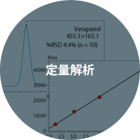 精密定量