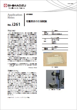 培養表皮の引張試験