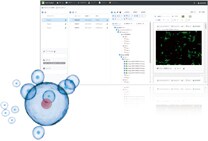 Cell Pocket Ver.2・間葉系幹細胞形態解析プラグイン