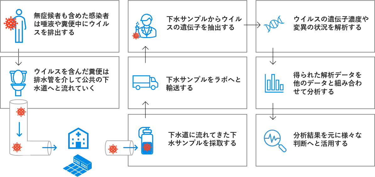 下水疫学調査の流れ