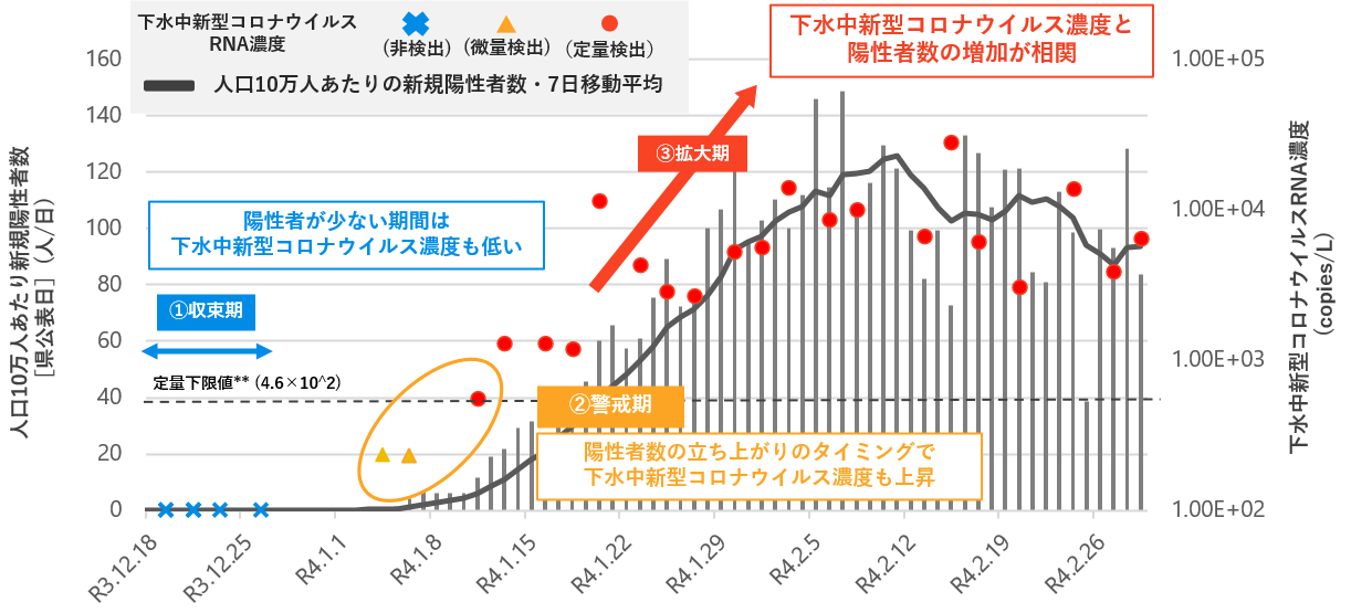 解析データの実績 (定量解析)